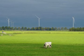 goedkoopste-groene-stroom-header